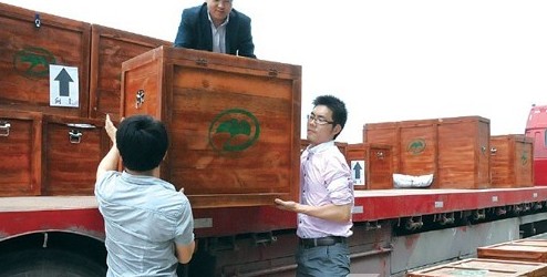 �ڙCƽ����܇